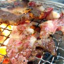 꽃보다갈빗살