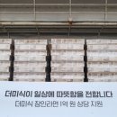 다푸드 이미지