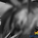 닥터 전 동물병원 이미지