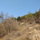 숲쟁이꽃동산 이미지