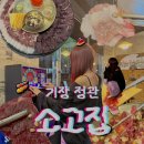 소고집 | 정관 소고집｜기장 뭉티기 육회 맛집 추천