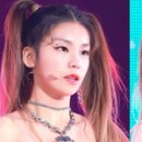 미모고양이 이미지