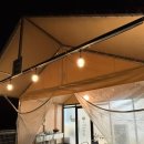 트리풀하우스 | 애견동반 가능한 트리풀하우스 글램핑 !