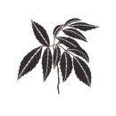 청동농장 이미지