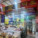 약초206