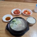 고향이동식당 | 논산 도가니탕 맛집 고향식당 솔직 후기｜블루리본 시골 도가니탕 19,000원의 가치