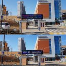 별빛초등학교 이미지