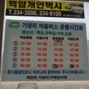 백암버스정류장 Daum카페