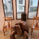 잇츠영어학원 | 🇪🇨Day29 갈라파고스에서는 늘 수영복을 안에 입고 다니자:: 찰스 다윈 연구소, 빵집 Barrio, 해변 La...