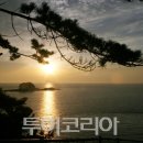 해돋이맛김 이미지