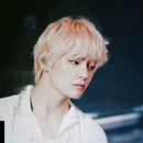 LYS 이미지