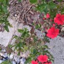 구찌네집 이미지