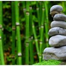 대나무한의원 이미지