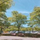 과천시 관문체육공원 이미지