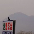 화개공인중개사사무소 이미지