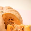 호박가게 이미지