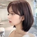아르젠떼 이미지