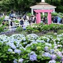 (주)수국 - 광주시 | (주)수국