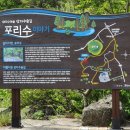 삼다수숲길 주차장 이미지
