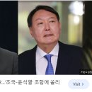 조국은 왜? 윤석열을 상대로 싸우지 않았을까? 이미지