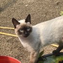 환성농장 이미지