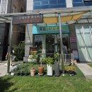 집밥먹개 집밥먹냥 이미지