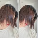 주아르헤어 이미지