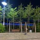 공차광교 | [수원 데이트] 광교호수공원 야경 한바퀴 돈 후기 / 디저트39 야외테이블