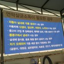 팬더스팀세차
