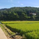 바다솔산업 이미지