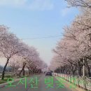 샬롬 - 은평구 | 샬롬