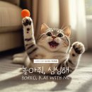 놀아줘 이미지