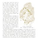 소목 이미지