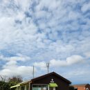 한림민속오일시장(한림오일시장) 이미지