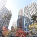 e편한세상대박공인중개사사무소 이미지