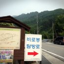 새밭야영장 이미지