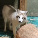 전주동물원 이미지