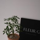 승진농장2 이미지