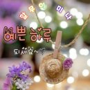 예쁜하루
