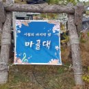 마골댁 이미지