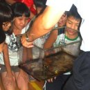 서산석림초등학교 이미지