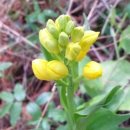 금란자연 이미지