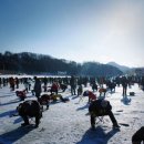 평창송어축제 티스토리