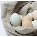 풍창농장 이미지