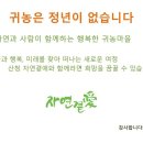 곁애