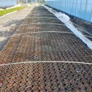 맑은샘농장 이미지