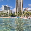 ㈜푸른숲Self주유소 | 여행초보자의 하와이 자유 여행(Trip to Hawaii) 7박8일 일정, 준비 등 총 정리