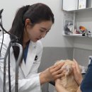 예은동물의료센터 이미지