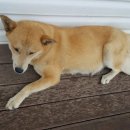 복중농장 이미지