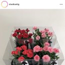 아티그 이미지
